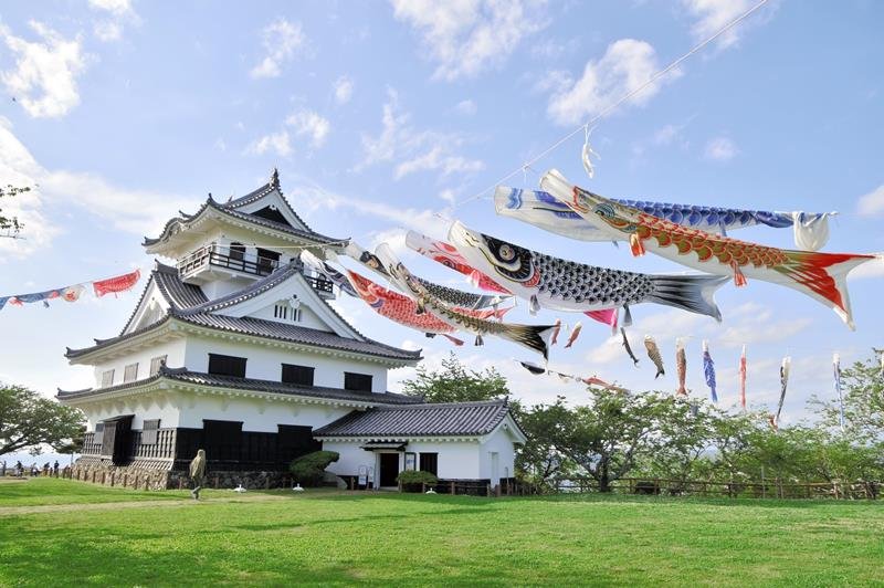 色とりどりのこいのぼりが青空を泳ぐ＝館山市の城山公園