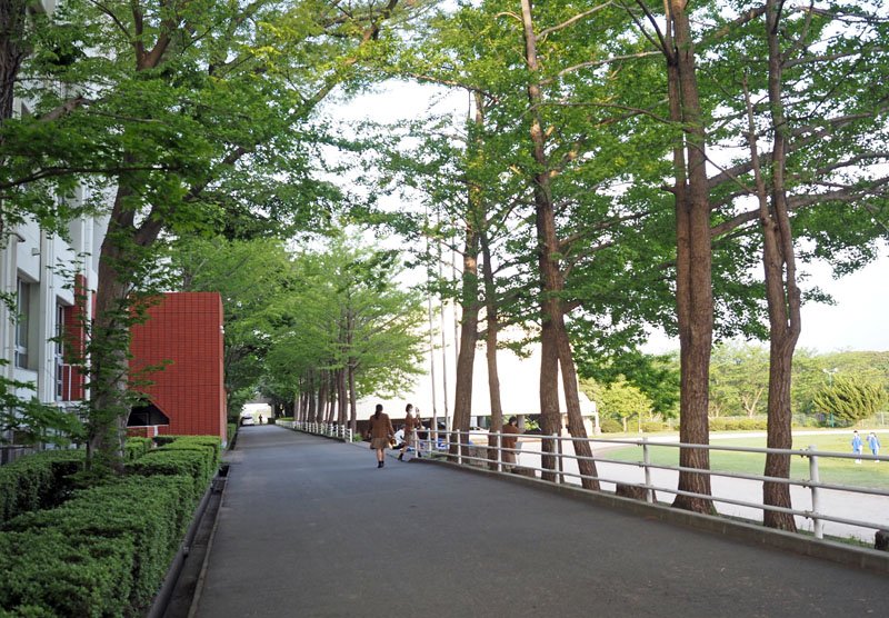 高等部との交流、刺激に　学校全体でＳＤＧｓ学習　志学館中等部（木更津市）　【キラッと★学校自慢】