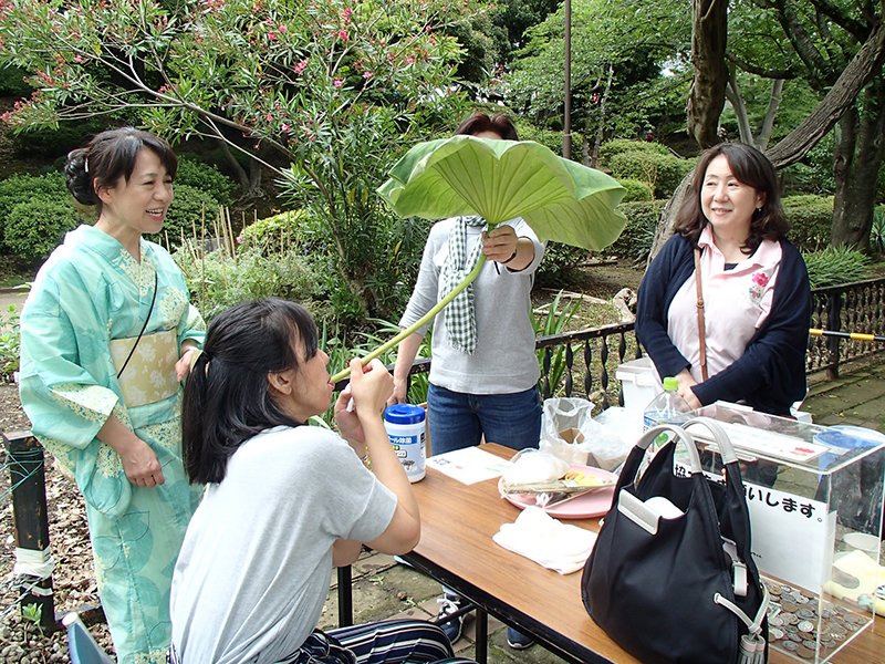 人気の象鼻杯