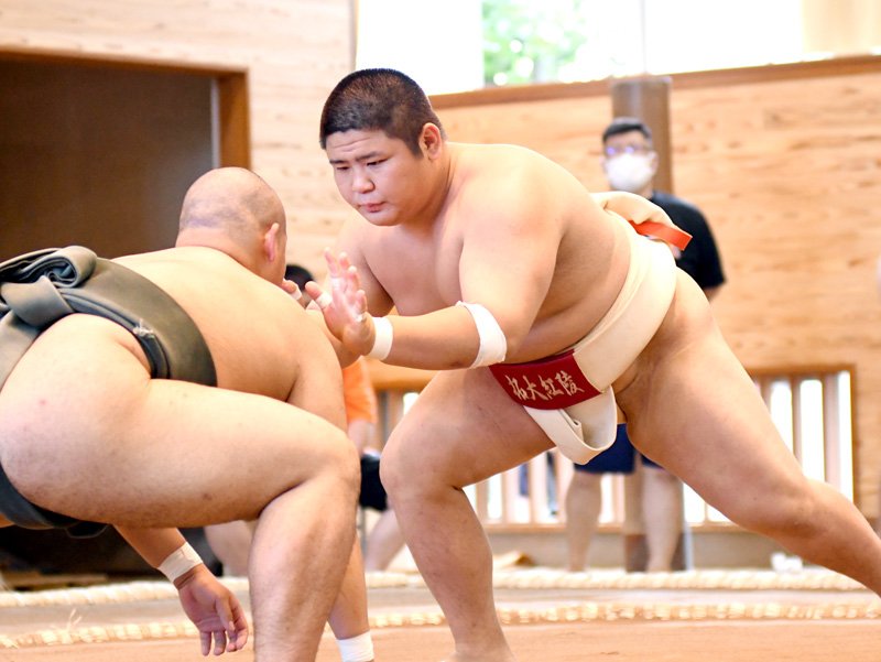 団体戦で勝利した拓大紅陵の次鋒・関本秀二＝袖ケ浦高相撲場