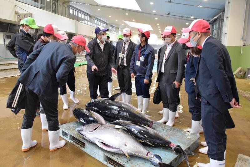 第一卸売市場で生のメバチマグロに見入る参加者＝銚子市の銚子漁港
