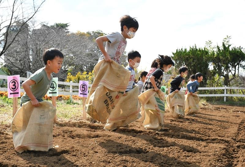 一斉にスタートする子どもたち＝成田市の成田ゆめ牧場
