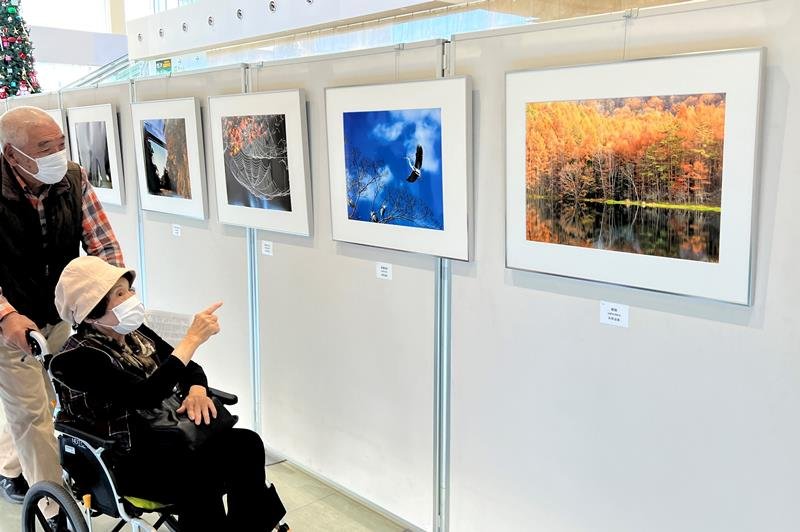 力作が並ぶ市原市写真連盟展＝２日、同市の夢ホール