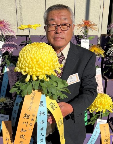 直径２５センチの菊の大輪を咲かせ、大臣賞５連覇を達成した相川さん＝市原市の八幡屋ふれあい広場
