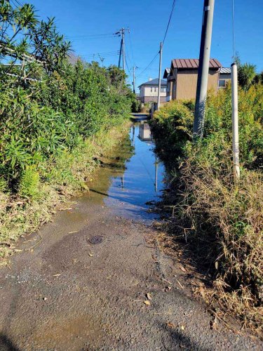 土砂堆積により大布川の水門が開かない影響で、浸水した様子＝２４日午前１０時ごろ、横芝光町（県提供）
