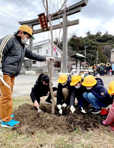 姉埼神社の駐車場で桜の苗木を植え付ける地元の小学生＝市原市
