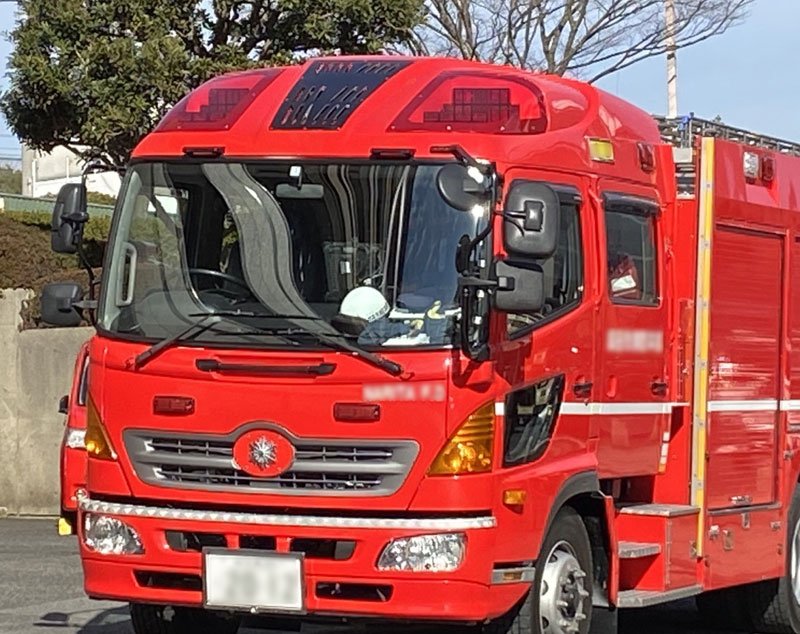 写真はイメージです