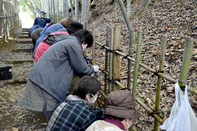 整備活動に取り組むさくら竹垣物語２５のメンバー＝佐倉市城内町のひよどり坂