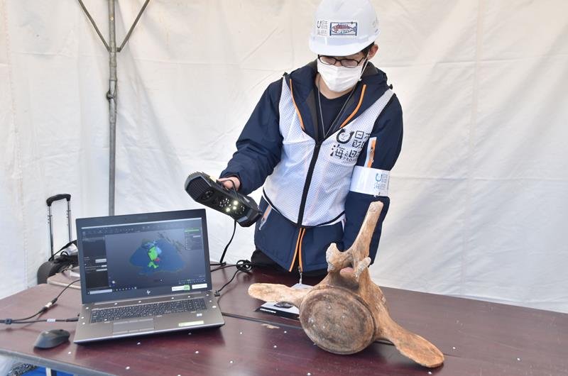 コククジラの標本、後世に　南房総で中学生ら　骨掘り起こし３Ｄデータ化