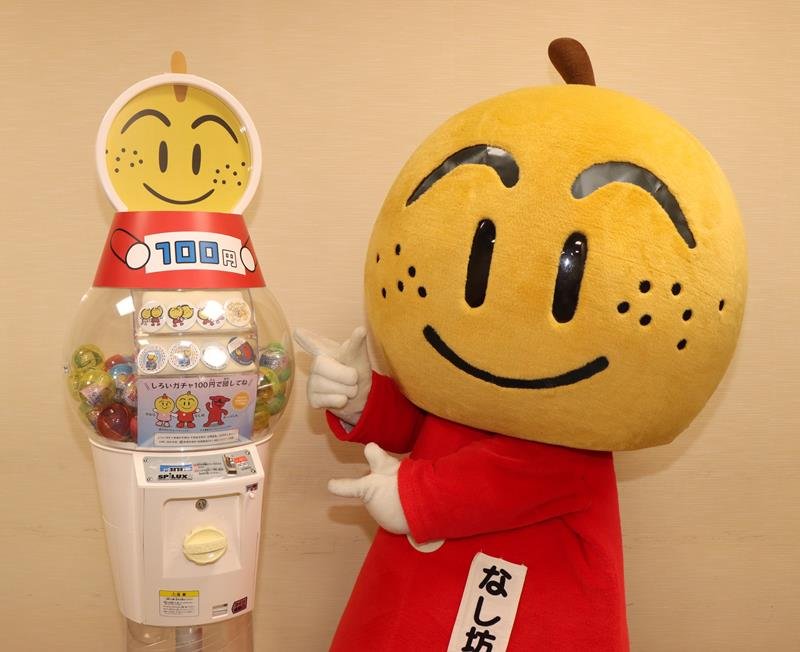 「しろいガチャ」を紹介する「なし坊」＝白井市提供
