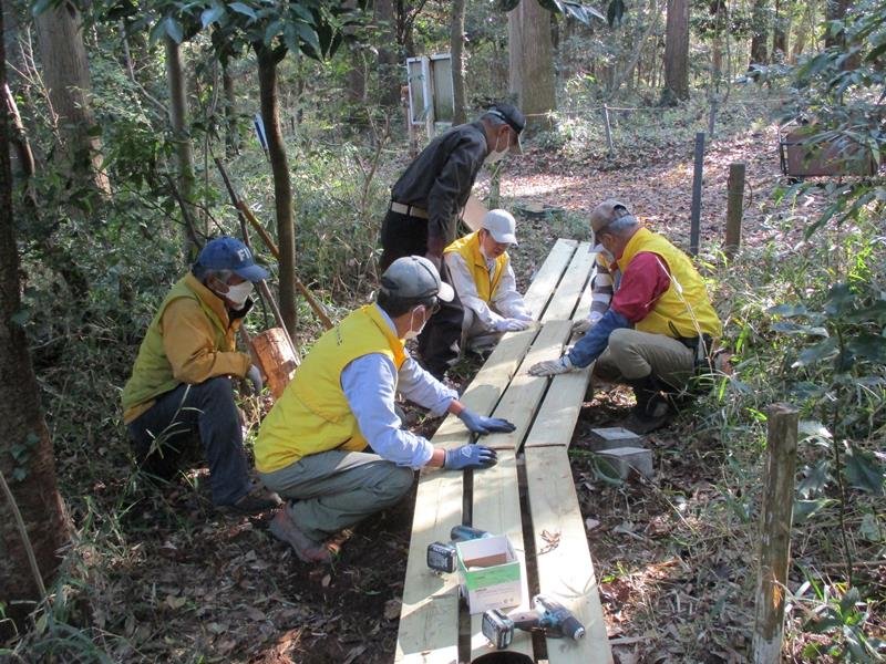柏の葉　森保全「未来遺産」登録　野生動植物　自然の宝庫　活動４３年、地元ＮＰＯ顕彰