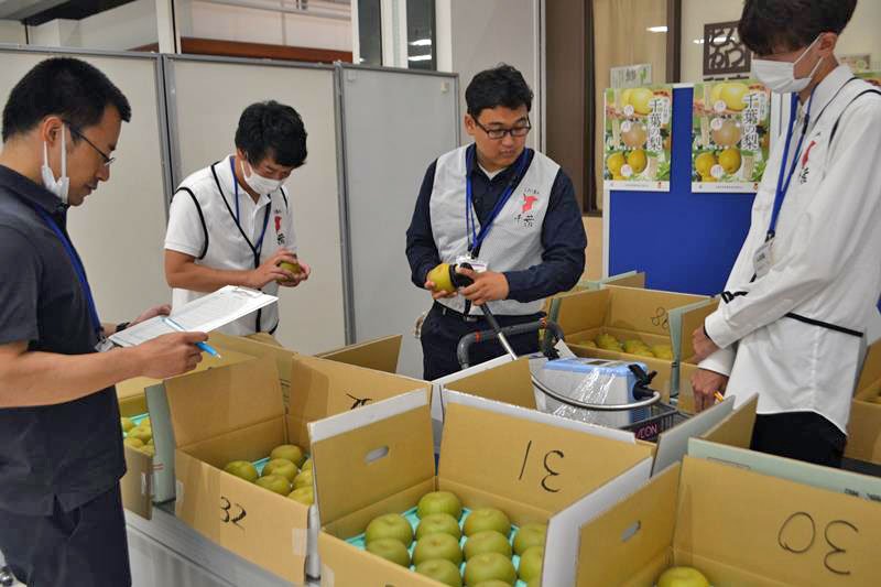 専用の機械で梨の糖度を計測する審査員ら＝２９日午前１０時ごろ、習志野市のイオンモール津田沼
