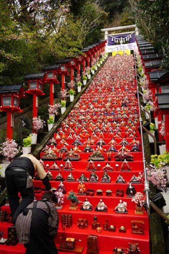 ひな人形が並ぶ遠見岬神社の石段＝今年２月、勝浦市
