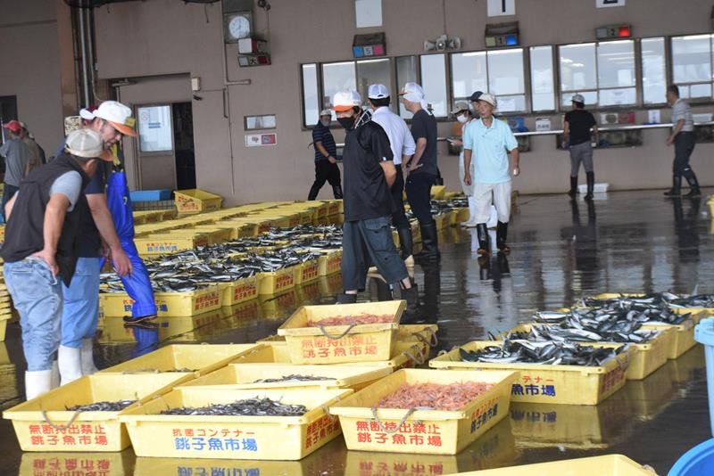 水揚げされた魚の入札で仲買人らが行き交う市場＝２１日、銚子漁港第３卸売市場