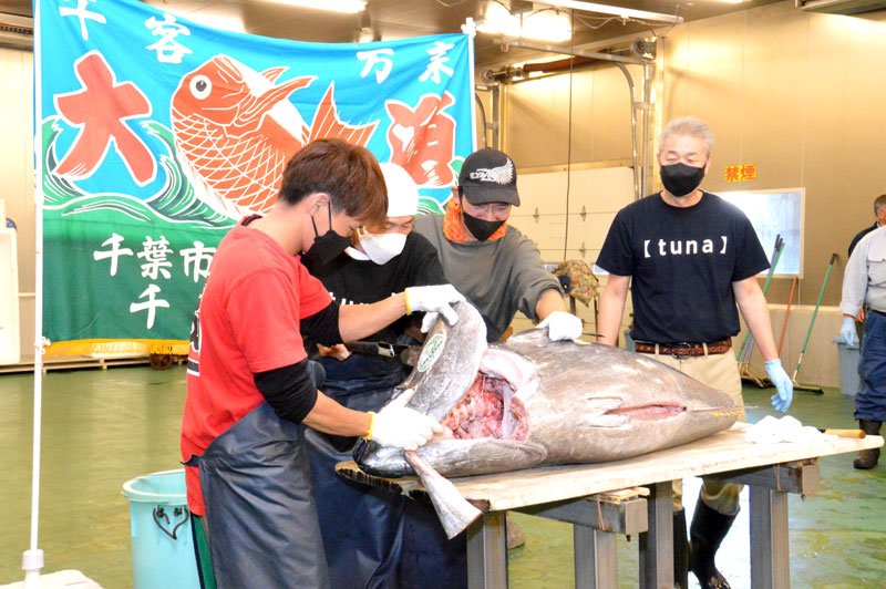 来場者が見入ったマグロの解体＝千葉市地方卸売市場