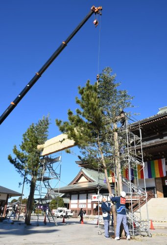 大しめ縄とともに飾るため、巨大な門松もクレーンでつり上げて設置した＝２５日、成田市の成田山新勝寺
