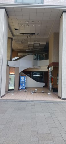 帰省、富山で震度５強　情報の重要性再確認　【千葉日報社員　被災地ルポ】