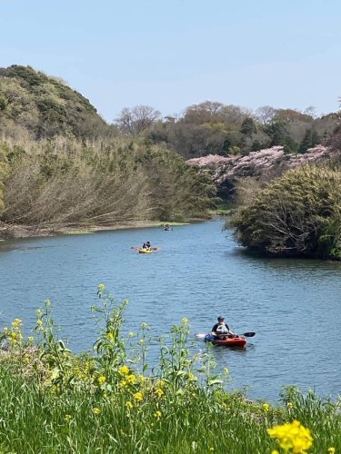命名「うみさとライン」ＰＲ　花見川・新川流域魅力向上へ　３市連携民間も協力　千葉市　佐倉市　八千代市