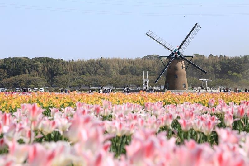 命名「うみさとライン」ＰＲ　花見川・新川流域魅力向上へ　３市連携民間も協力　千葉市　佐倉市　八千代市