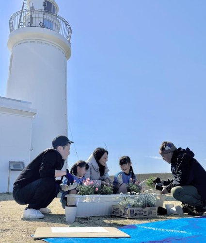 洲埼灯台を背にマーガレットを植える卒園生ら＝館山市