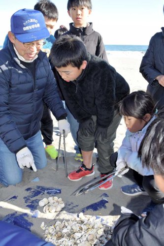 ふ化率確認環境に理解　学習重ね、海岸の美化も　白子・児童ウミガメ産卵調査