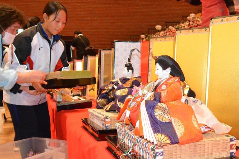 ひな人形を飾り付ける勝浦中の生徒ら＝２０日、勝浦市
