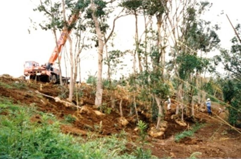 千葉県都に房総の自然再現　開園３５年、多様な動植物生息　日本初エコロジー・パーク　千葉県中央博「生態園」