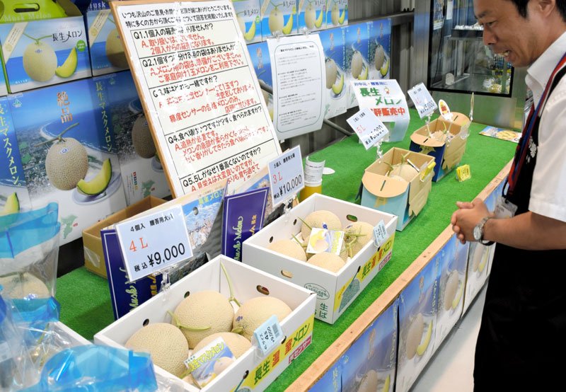 大きく甘い長生（ながいき）メロン　最盛期迎え７万玉出荷　一宮・白子