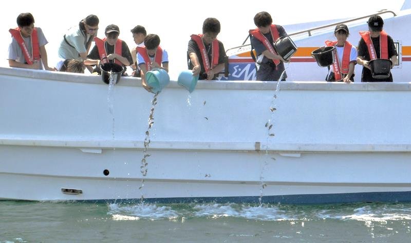 水産資源つなぎ未来へ　マダイ稚魚１５００匹中学生放流　いすみ