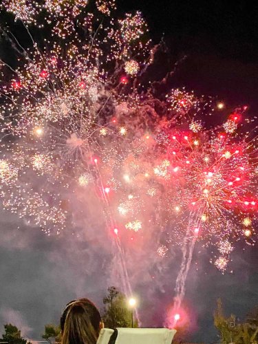 ６千発の大輪が秋の夜空を彩ったいちはら国府花火大会＝５日、市原市