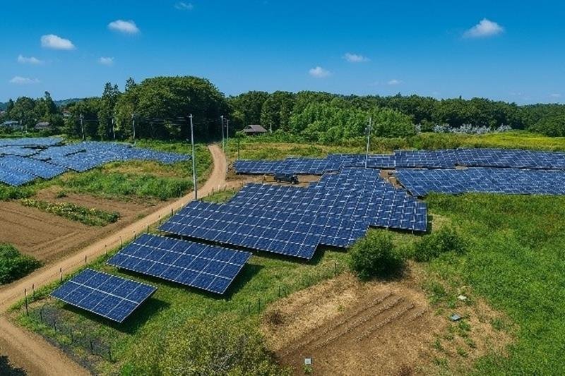 京葉ガス子会社が開発する茨城県の太陽光発電所（同社提供）
