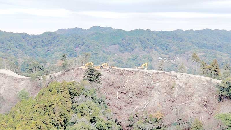樹木を伐採して土地を造成する作業が一時停止となっているメガソーラー建設予定地＝昨年１２月、鴨川市（市民団体提供）