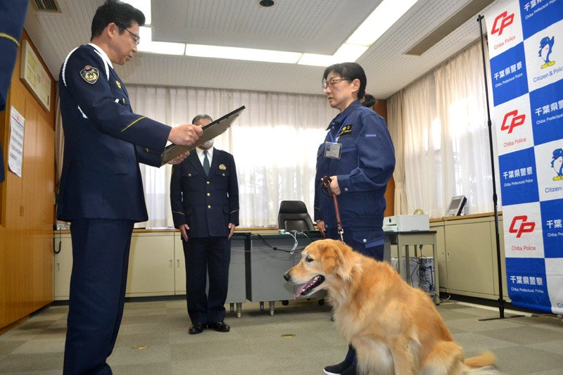 初めてのお手柄！嘱託警察犬「すあま」　靴下のにおい頼りに行方不明者を発見　佐倉署が感謝状