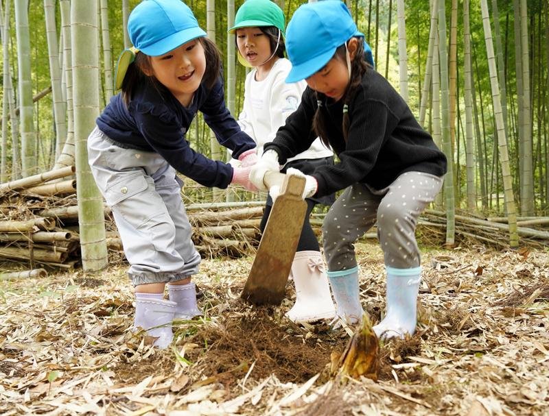 「大きいの採れた」。タケノコの産地で知られる大多喜町で保育園児らがタケノコ掘りを体験し、春の味覚を手に歓声を上げた＝１３日　橋本ひとみ撮影　　