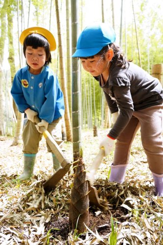 続々タケノコに歓声　園児ら力合わせ収穫体験　大多喜