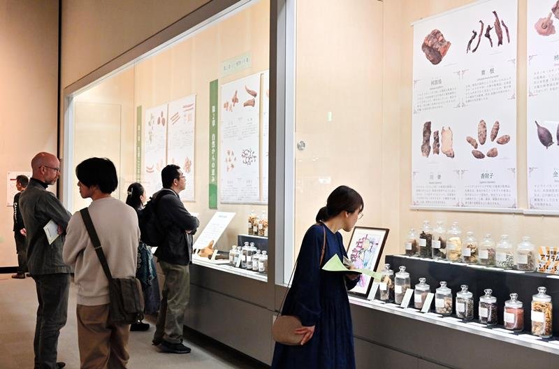 臭いがきつい資料もあるため、瓶詰めでの展示も多いが拡大写真が補う＝千葉市中央区の県立中央博物館
