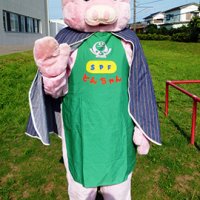 特産豚宣伝する紋次郎　とんちゃん（東庄町）　【ちば　ゆるキャラコレクション】
