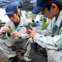 接ぎ木したヒメコマツの状況を確認する会長の宮崎君（右）と３年の黒川椋平君＝５月２３日、君津市の君津青葉高校愛宕キャンパス