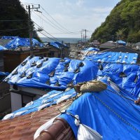 【台風１５号から１カ月】１０月９日配信