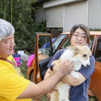 【台風・豪雨関連記事】１１月３日配信