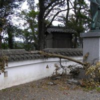 【台風・豪雨関連記事】１１月７日配信