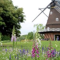 オリコンランキングで千葉県内４施設ランク入り　ディズニーやアンデルセン公園、ドイツ村