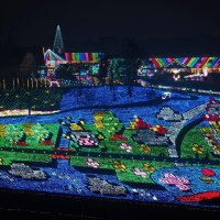 冬の夜を彩る東京ドイツ村のイルミネーション＝袖ケ浦市