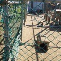 何者かによって切断され、穴の開いたニホンザルの飼育檻（富津市提供）