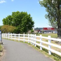 まるで牧場白い柵　「新木戸大銀杏公園」（富里市）　競走馬生産地の名残　【北総ご近所巡り　面白スポット謎解き編】（２）