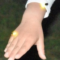 親子でホタル観察　夜の谷津田に歓声　市原