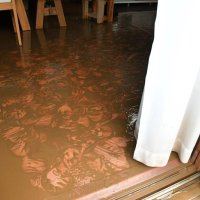 房総豪雨で浸水した渡辺さんの自宅。床が泥で覆われてしまった（渡辺さん提供）
