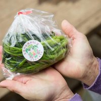 土気からし菜の漬物＝千葉市提供
