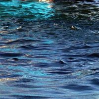 漁船から転落　高齢女性死亡　勝浦