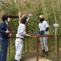 イノシシ捕獲、メール通知　狩猟従事者サポート　南房総市で実証実験